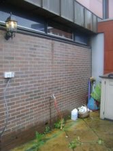 franckstraat (71K)